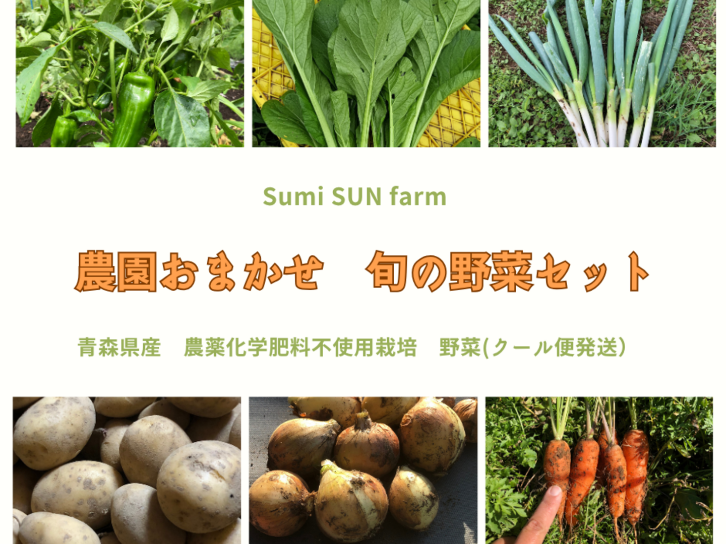 農薬・化学肥料不使用栽培】農園おまかせ 旬の野菜セット（6種）：青森