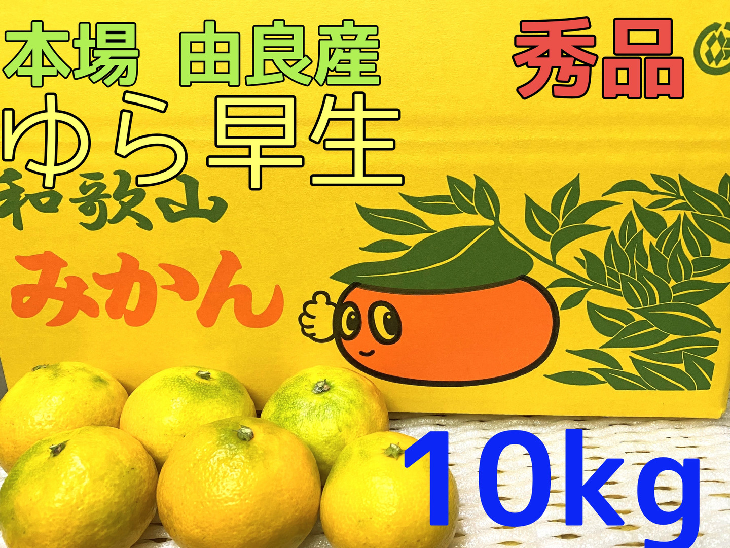 和歌山県由良町産　温州みかん（早生みかん、中生みかん）秀品10kg 愛媛県西宇和産極早生みかん ファミリー用10kg
