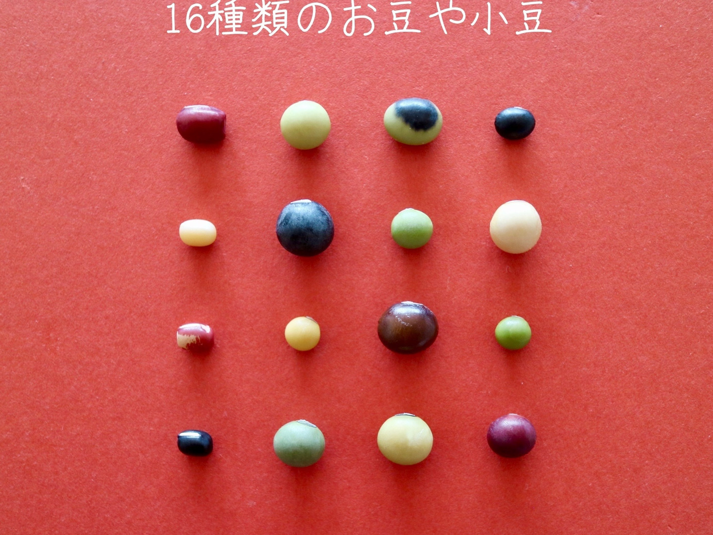 【全商品オープニング価格 特別価格】 7ba0386ab571bb1efe2ec438ceb87a 手提げ・レッスンバッグ・入園グッズ