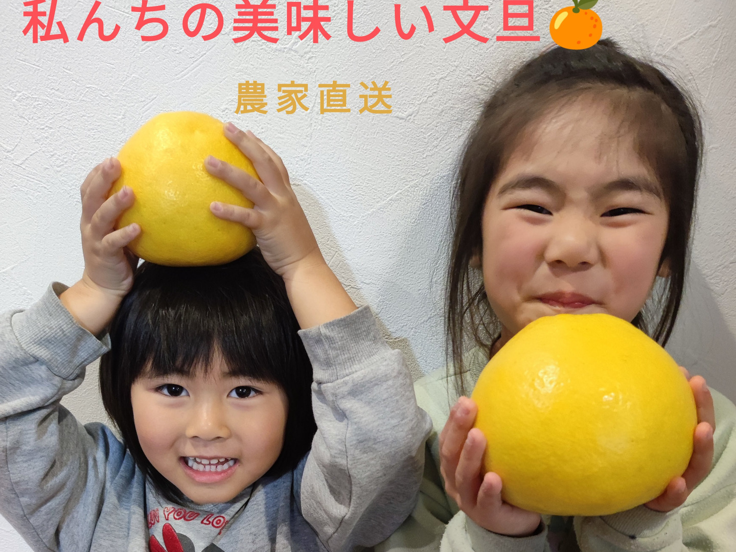 一度食べたら忘れない！高知の土佐文旦！訳あり5kg(M〜4Lサイズ混合