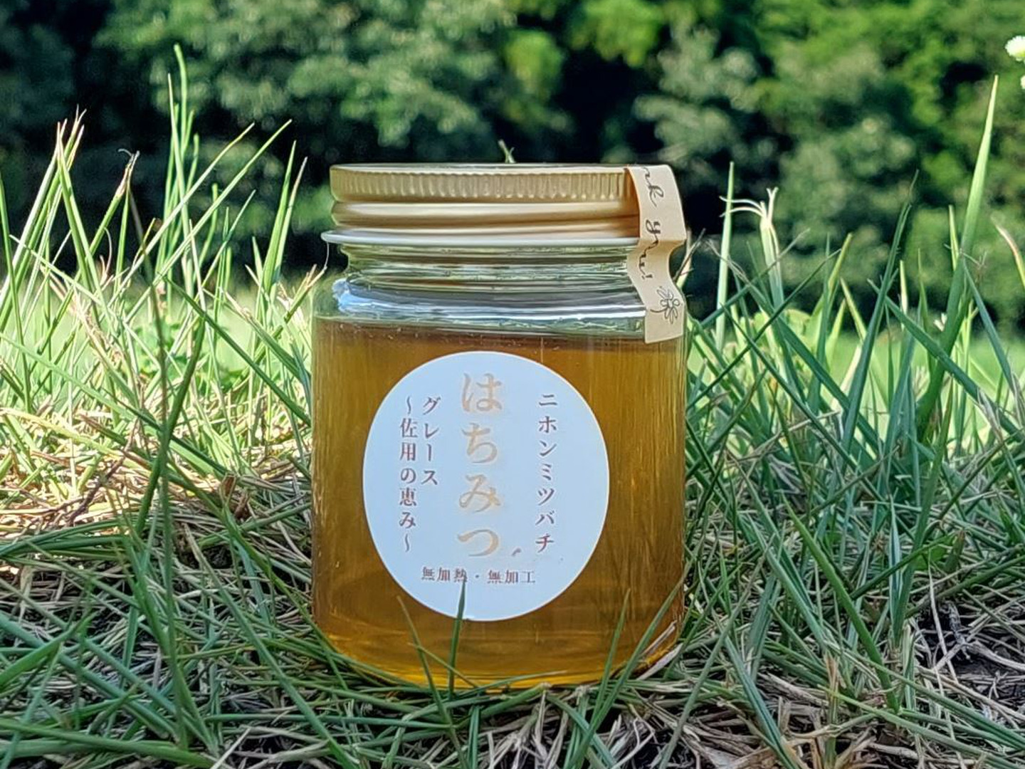新着入荷の通販 伝えたい🥺】自然入居🐝天然ニホンミツバチの「🍯はちみつ その他