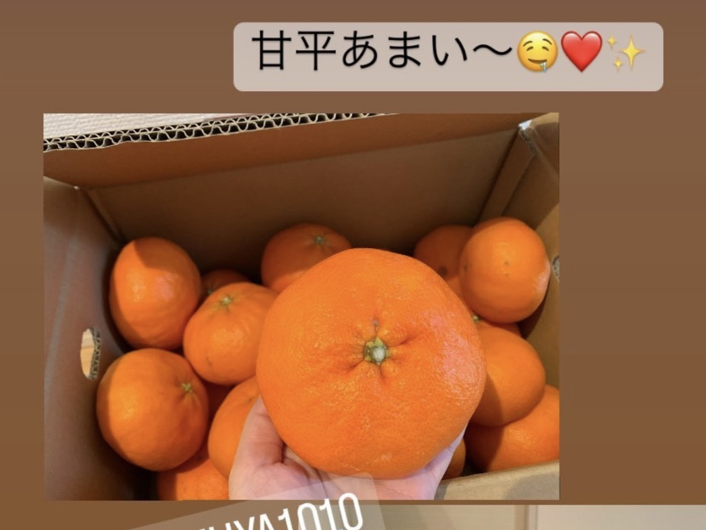 国内外の人気が集結 真穴（まあな）産地直送！完熟甘平（かんぺい）10kg ※早 家庭用 果物