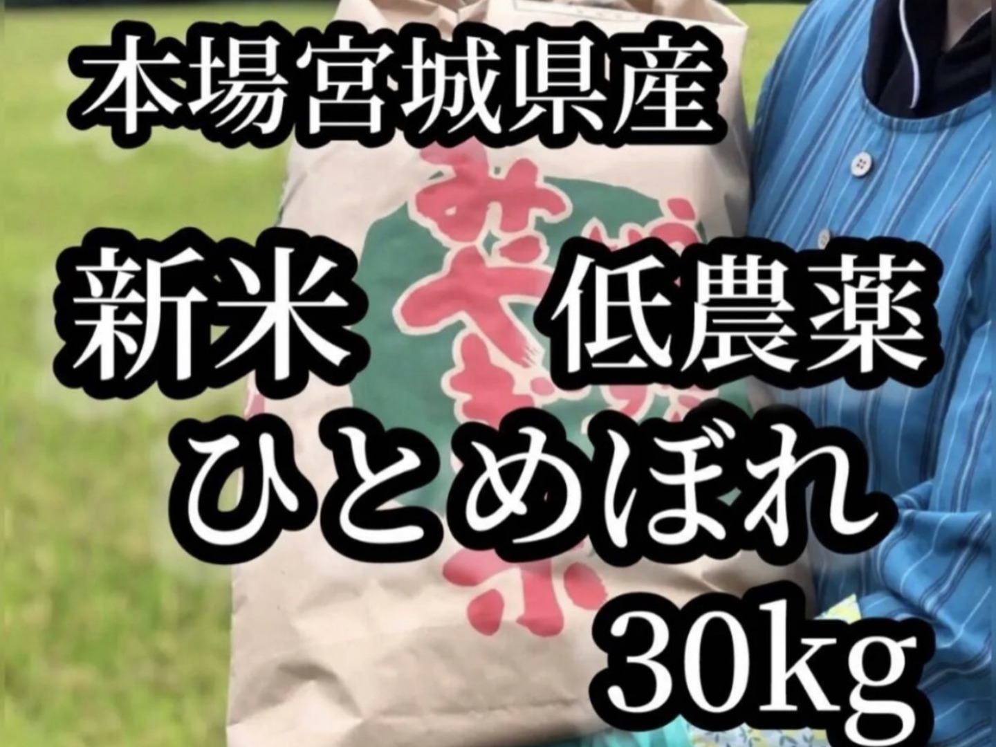 本場宮城県産令和8年新米ひとめぼれ玄米30kg：宮城県産のお米｜食べ