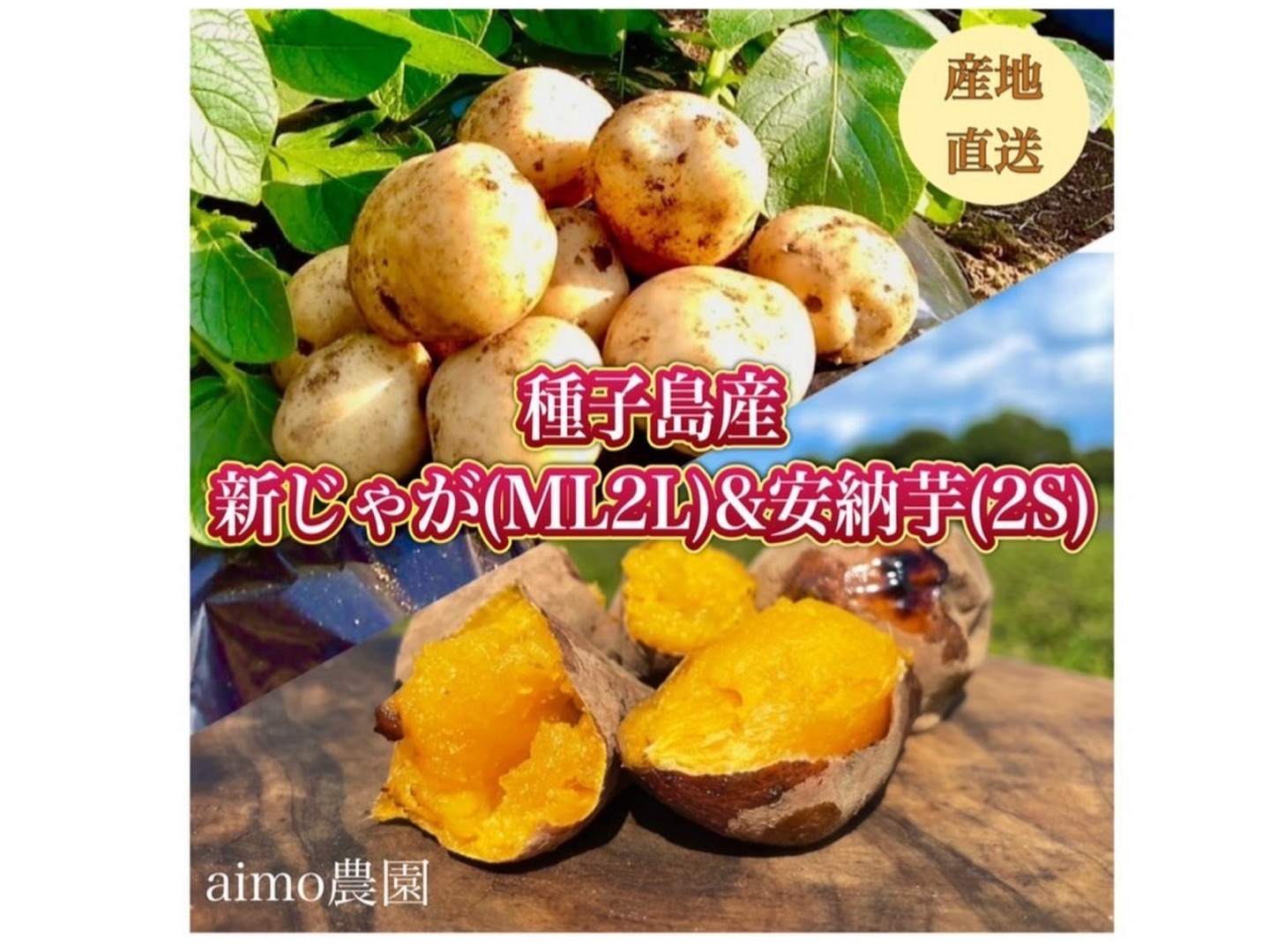 期間限定】種子島産 新じゃが(ML2L)＆熟成安納芋(2Sサイズ