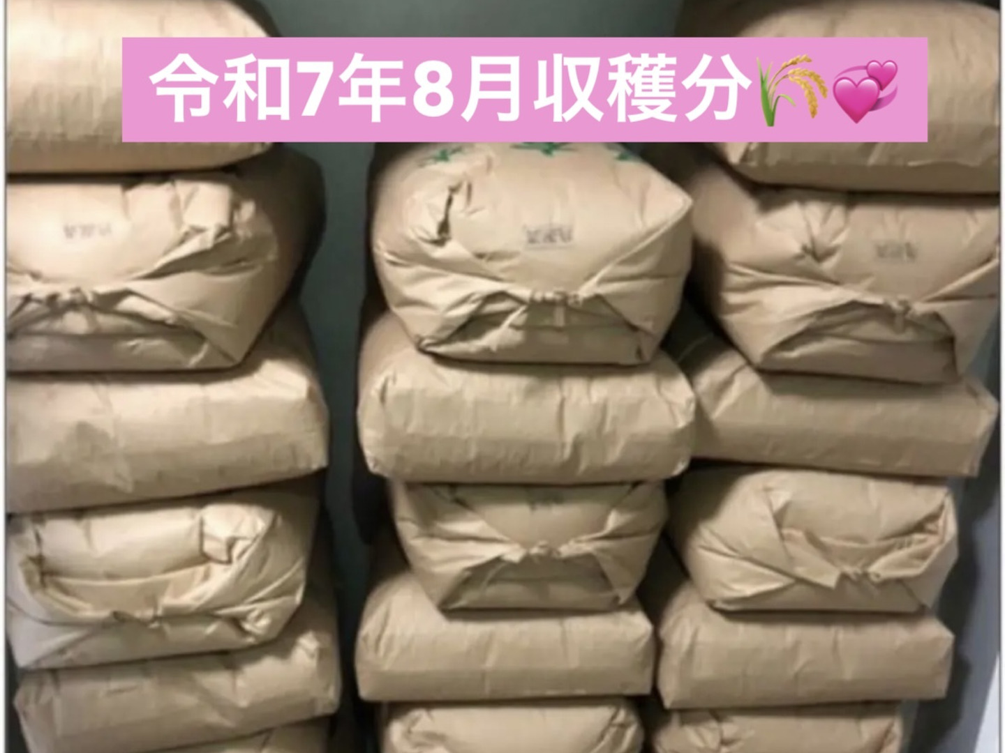 🌟特別特価🌟令和7年新米❣高知産コシヒカリ🌾玄米30kg✨ 節減