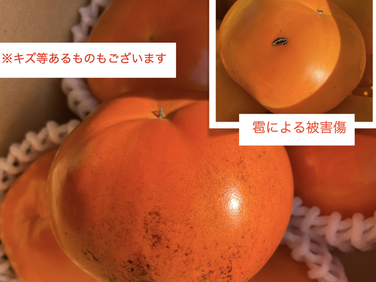 極上果汁！ 紀州てまり（柿）🟠✨家庭用サイズ混合(2L以上) 4玉