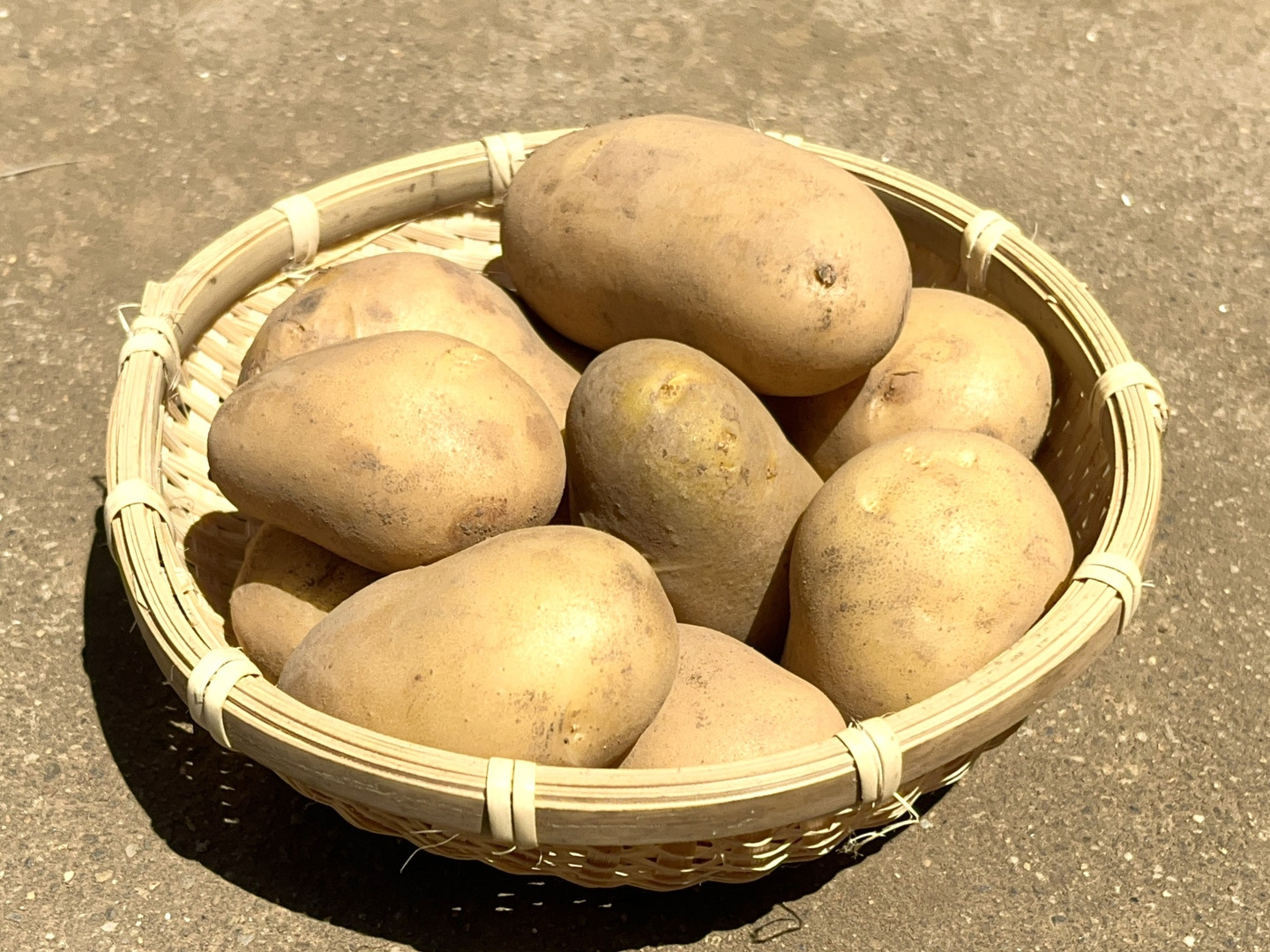 人気アイテムランキング(新品)  お試しに！新じゃがいも3種 2キロ箱：千葉県産 食べ比べセット 野菜