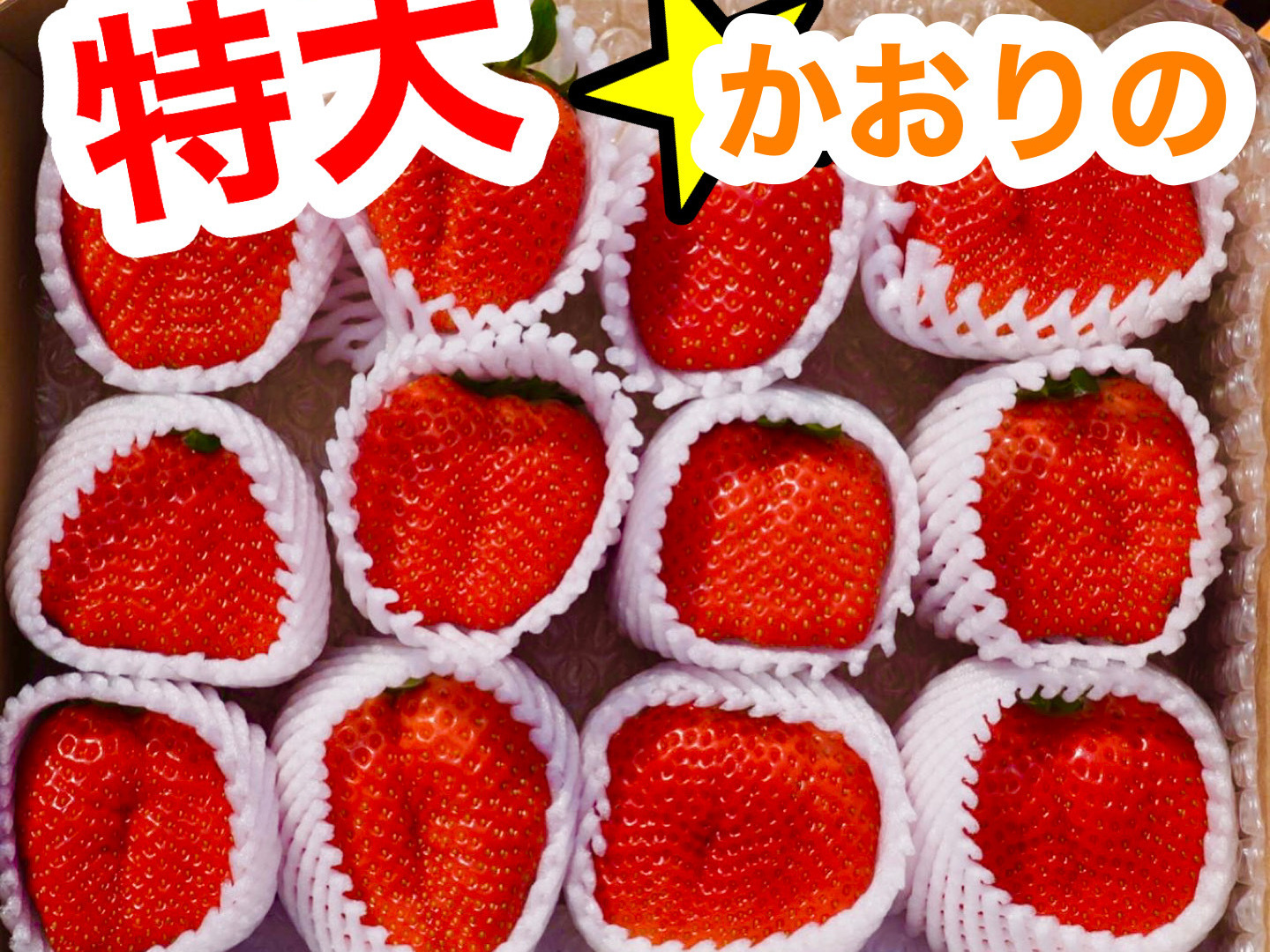 web限定アイテム びっくり特大!!新鮮朝採りいちご 愛媛県産 かんちゃん農園の甘い 果物