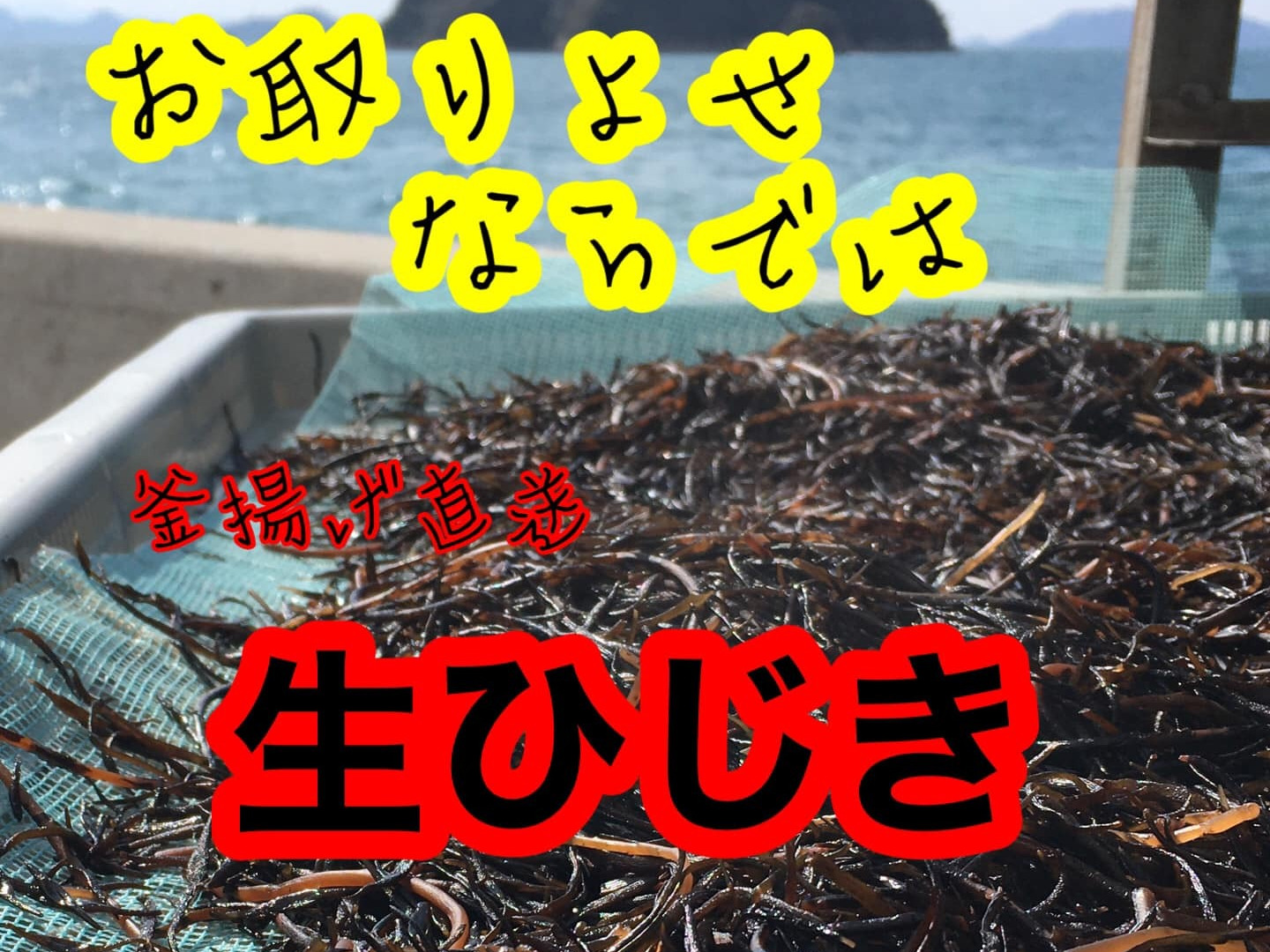 愛用 まだ間に合う【母のギフト】10日まで【すぐ発送】瀬戸内120 女性漫画