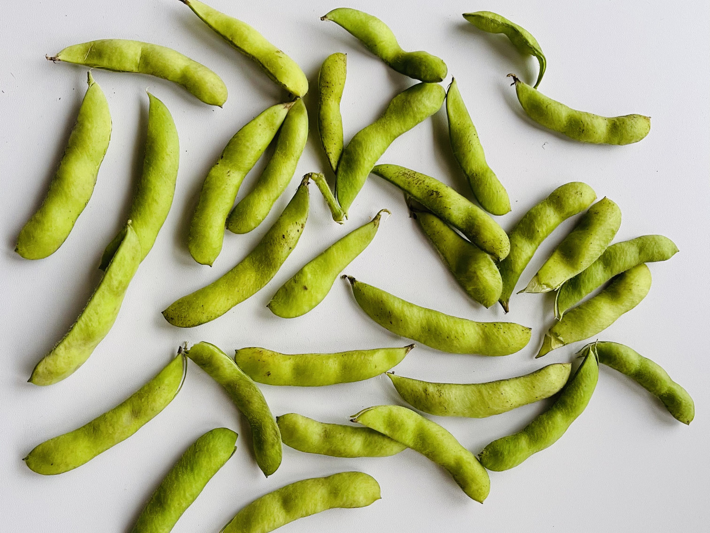 規格外）枝豆1.5㎏：岐阜県産の野菜｜食べチョク｜産地直送(産直