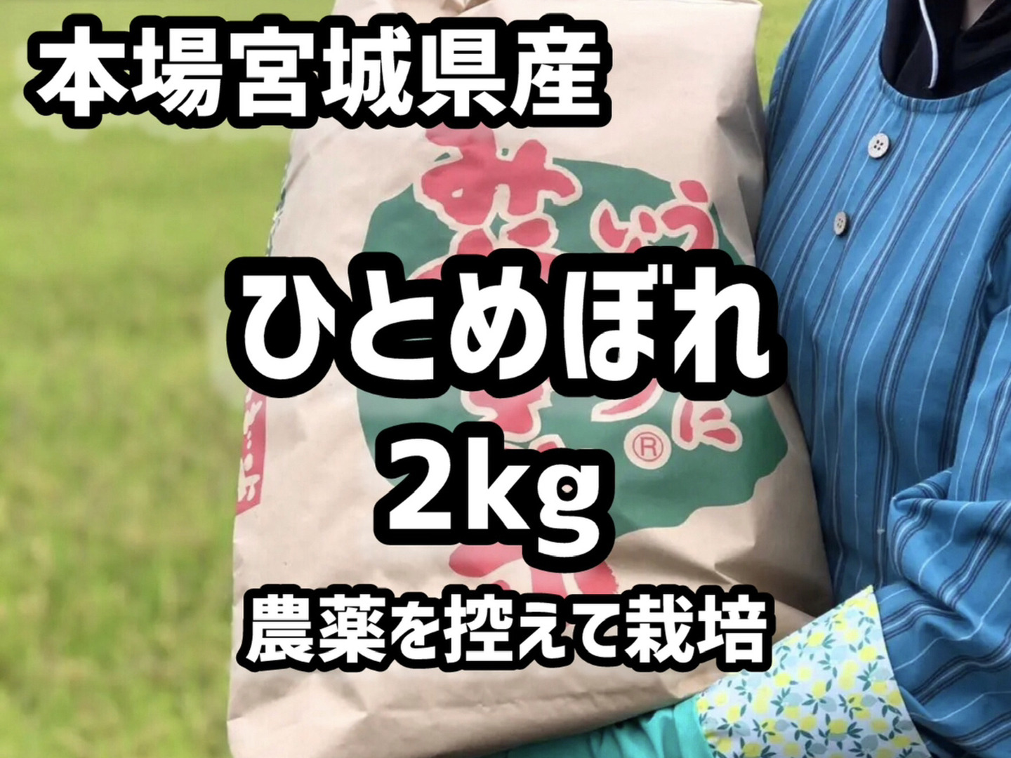 新米令和7年】本場宮城県産！ひとめぼれ 玄米2kg低農薬お試し：宮城県