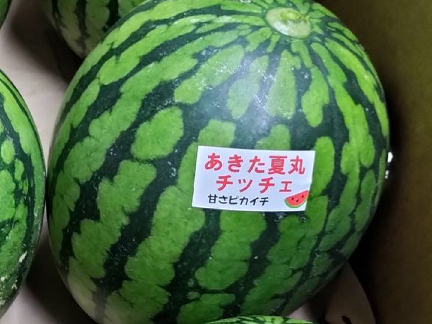 小玉スイカ シャリっと甘い！あきた夏丸チッチェ！〈大サイズ4