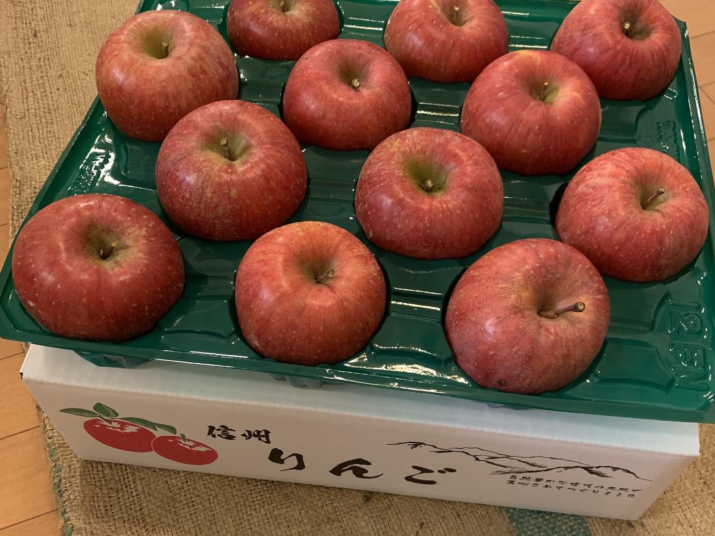 最安挑戦！ 蜜入り 特価！りんご 5 家庭用 特価！ サンふじ 長野県飯綱町産 果物