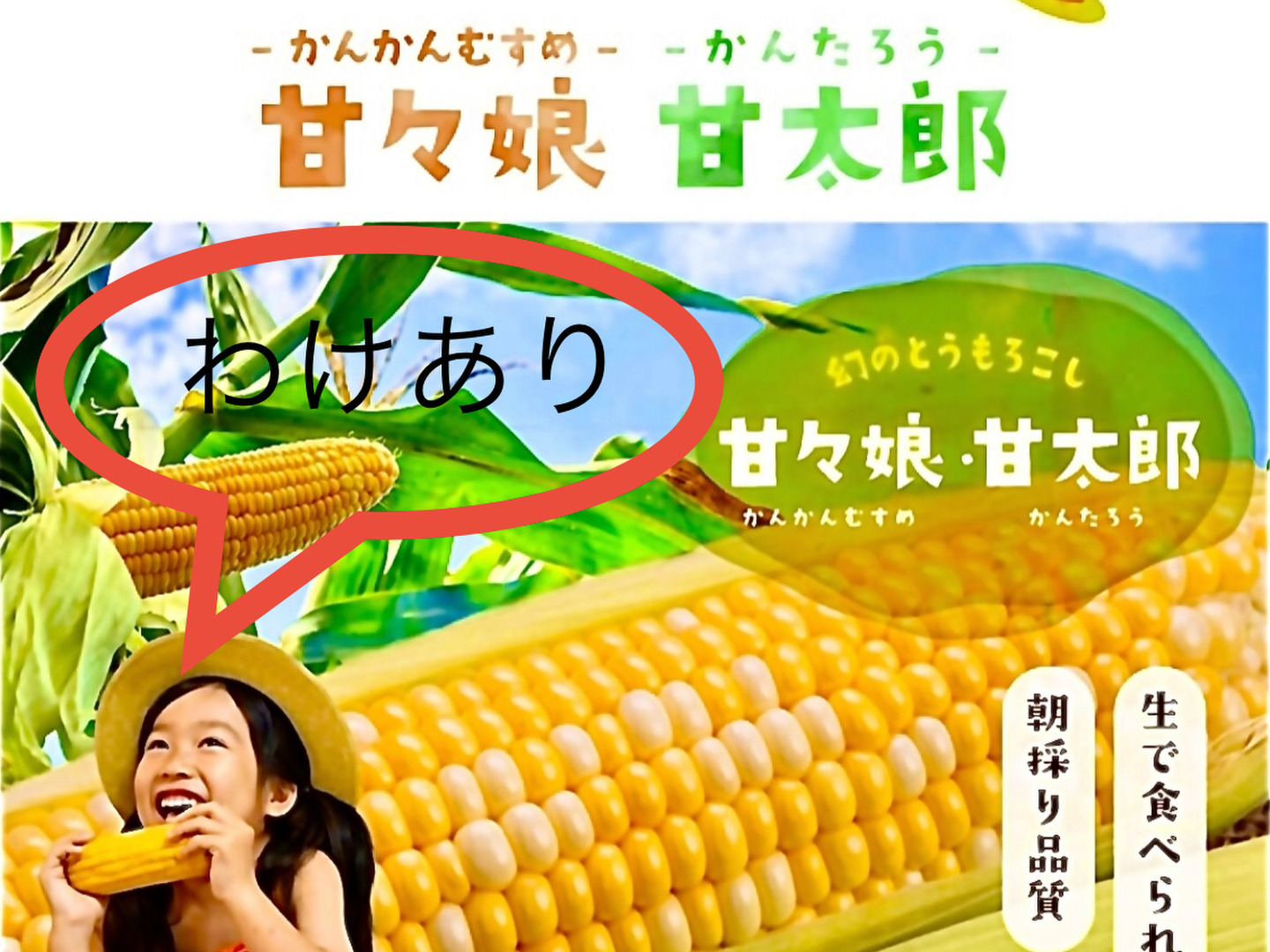 【バラ詰め】訳あり？とてもやわらか甘熟ちゃん加工用特価！！ Amazon.co.jp: 小袋 お菓子 パック ランダム 50個 アソート