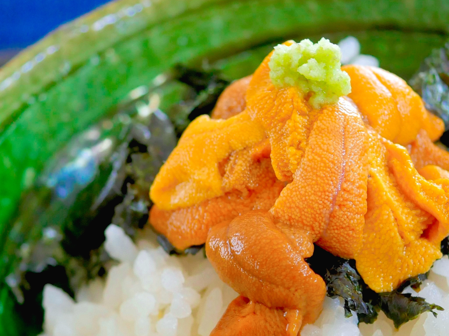 訳あり品！　伊豆の本ワサビ　1kg 山葵　野菜　 農家直送　　生わさび 伊豆の本ワサビ 山葵 野菜 農家直送 生わさび130g - メルカリ