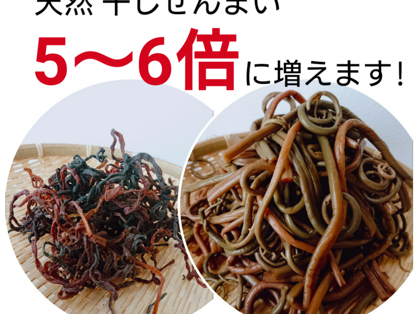 【メーカー直送】 ab12d2f356838c003c6497c10c8499 その他