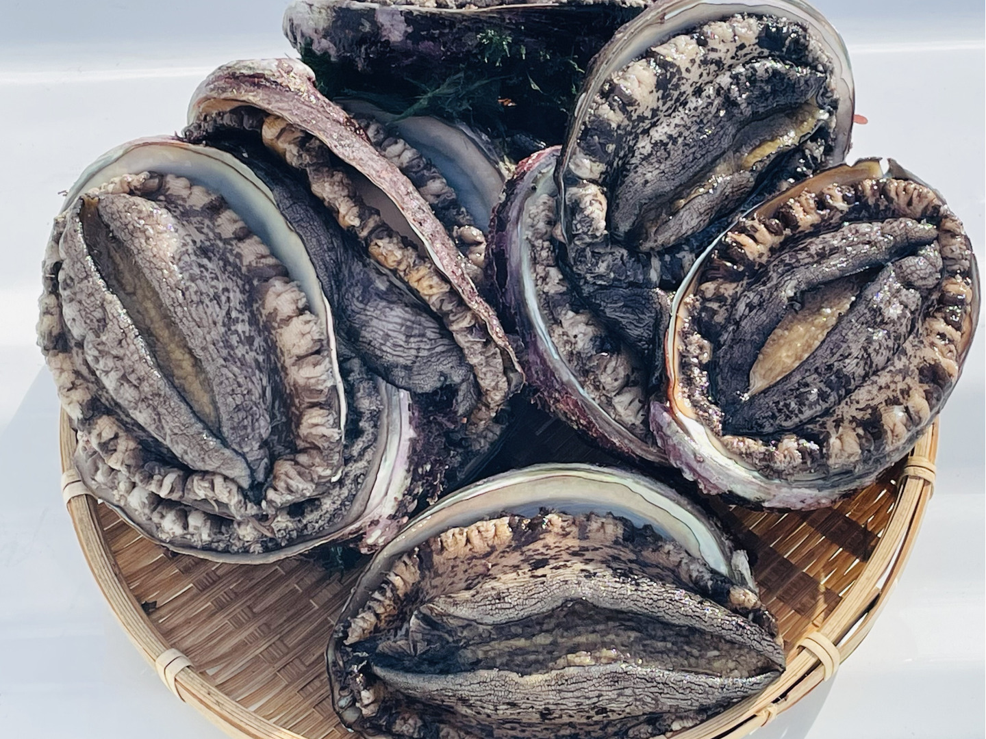 乾燥鮑　岩手県産　500g （約30個前後） 乾燥鮑 岩手県産 500g （約30個前後） （乾燥鮑 岩手県産 500g