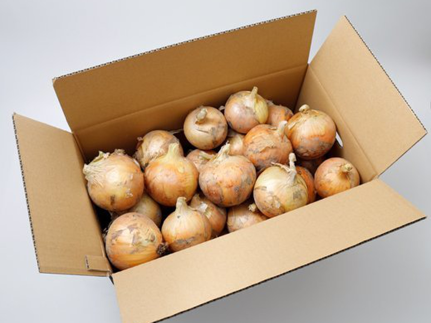 ブランド品専門の た〜っぷり 玉ねぎ 05 使い切りサイズ 10キロ 野菜