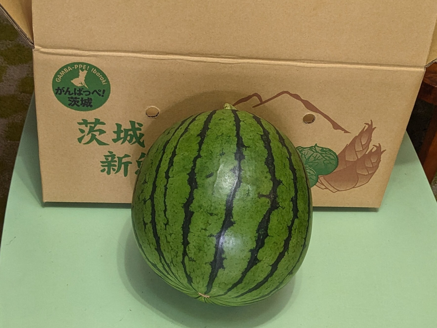 訳あり中玉スイカ 【Lサイズ】！期間・数量限定：茨城県産のタヒチ