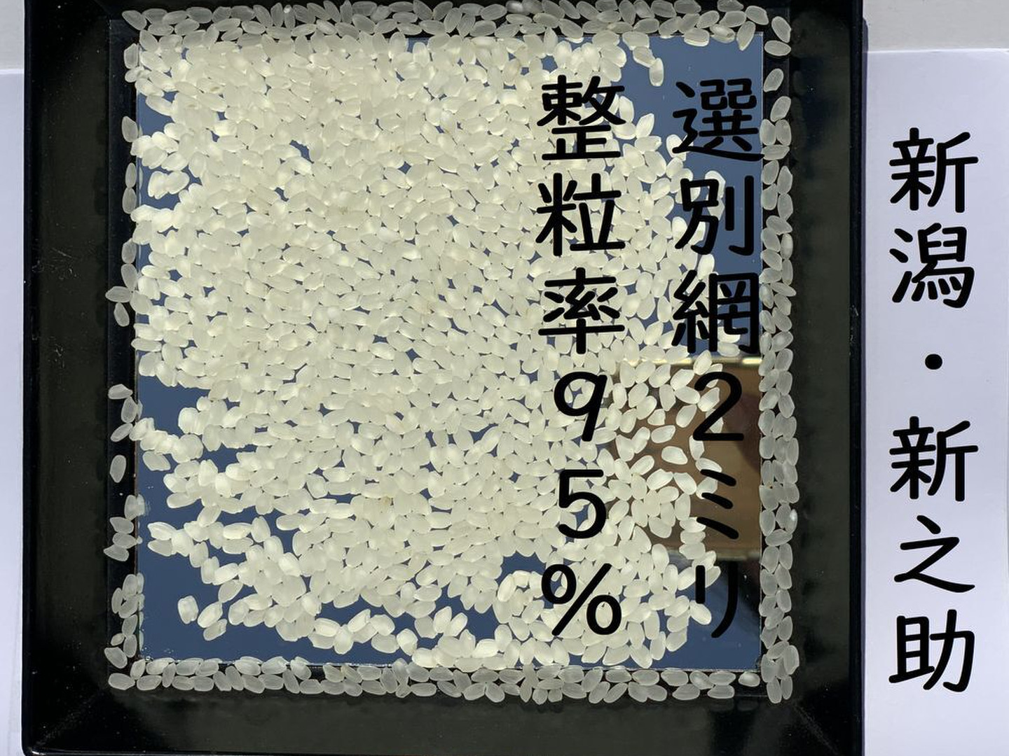 大粒で 粒感がありしっかりとした食感 冷めても固くなりにくい新米