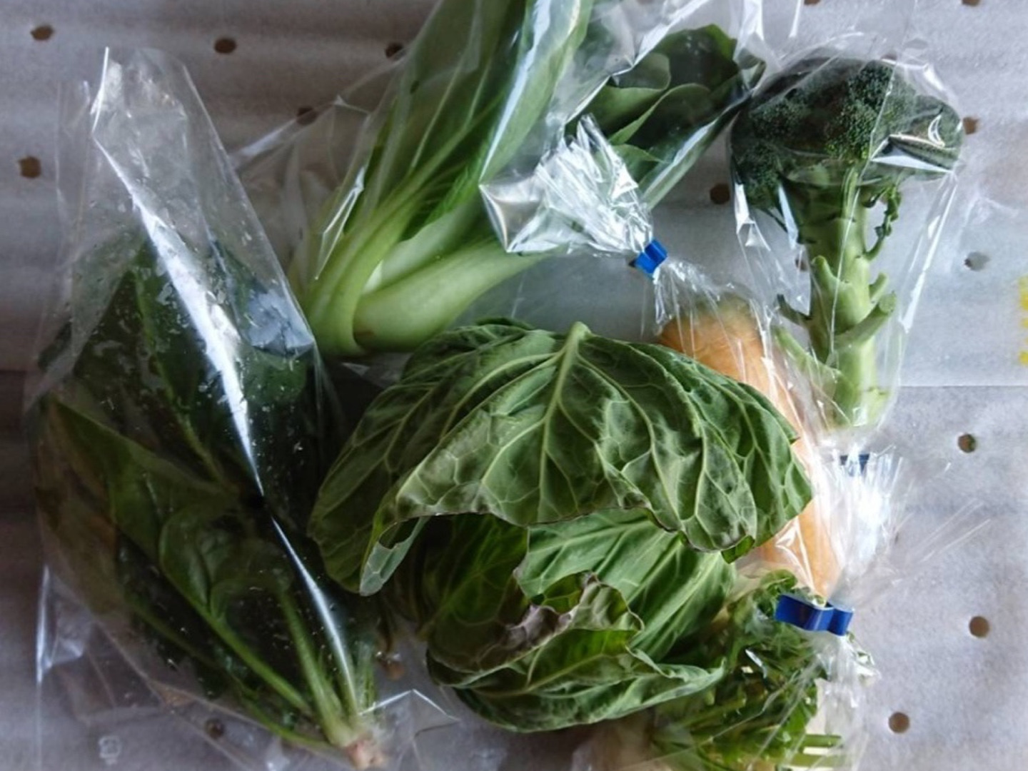 野菜boxSSサイズ：愛知県産の野菜セット｜食べチョク｜産地直送