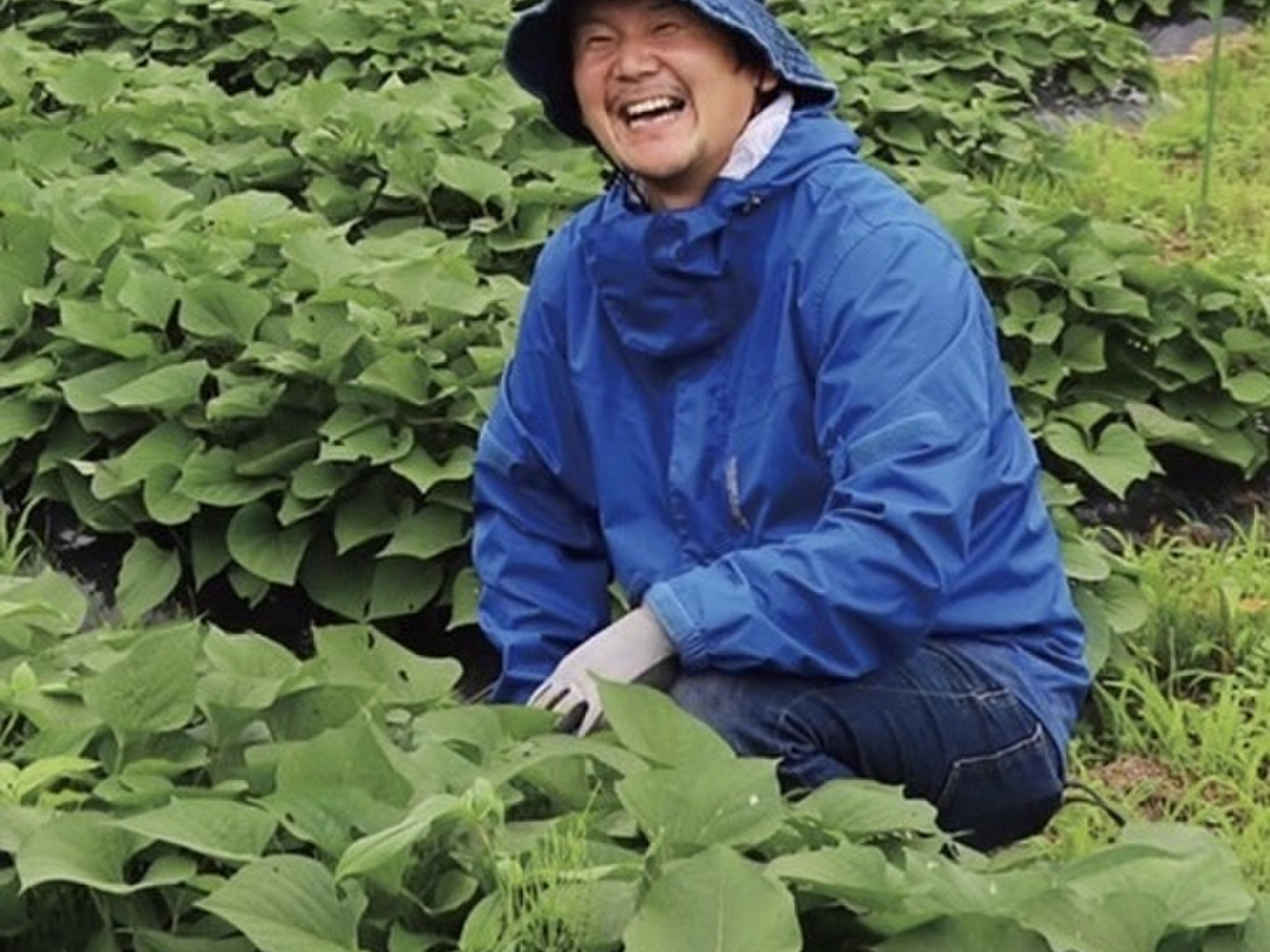 鹿児島県産　土付きらっきょう　約10キロ promart-jp_21710580