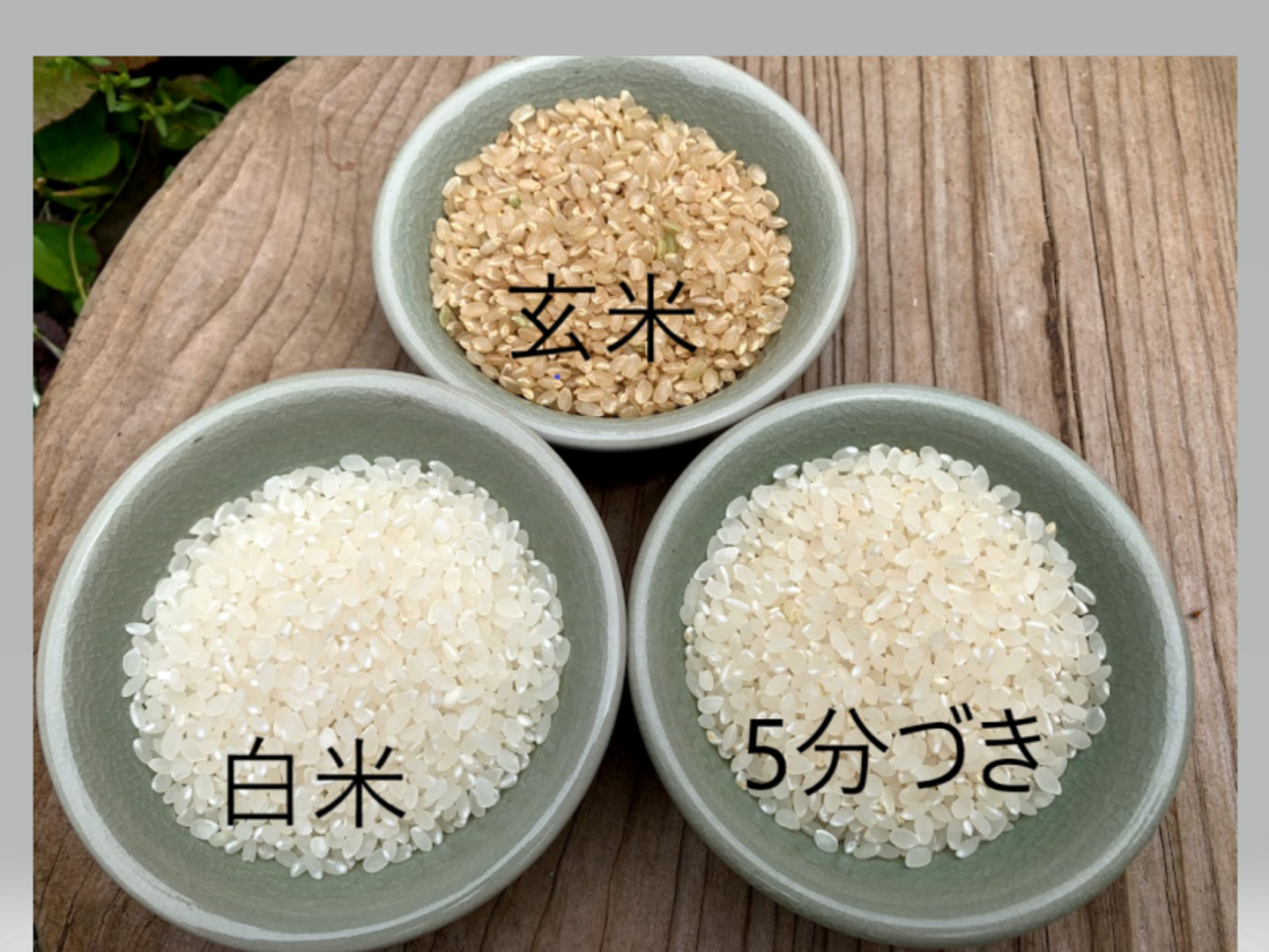 e8d6424a05b07509cd596ff413ca71 e8d6424a05b07509cd596ff413ca71