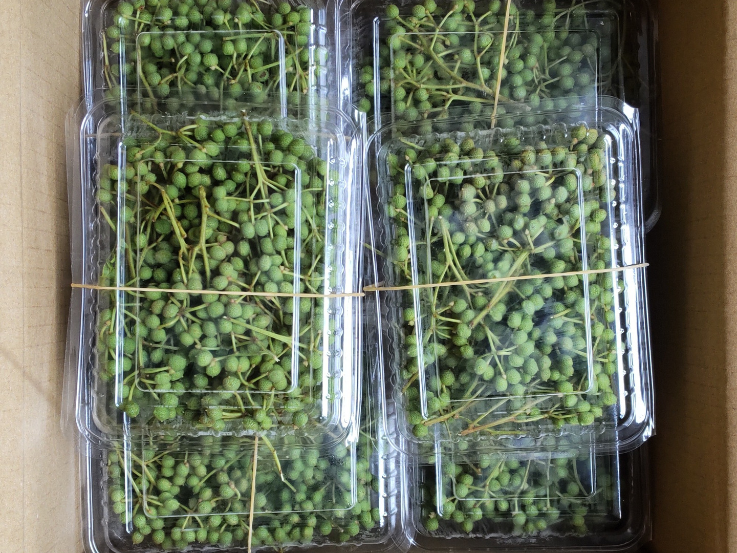 実山椒 山椒の実 500g 山椒：青森県産の実山椒｜食べチョク｜産地直送