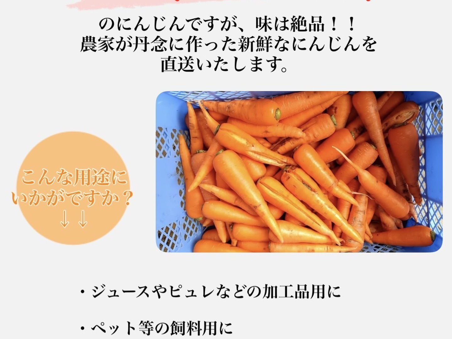 フードロス救済！！】鶏ふん育ちの訳ありにんじん向陽2号！！味