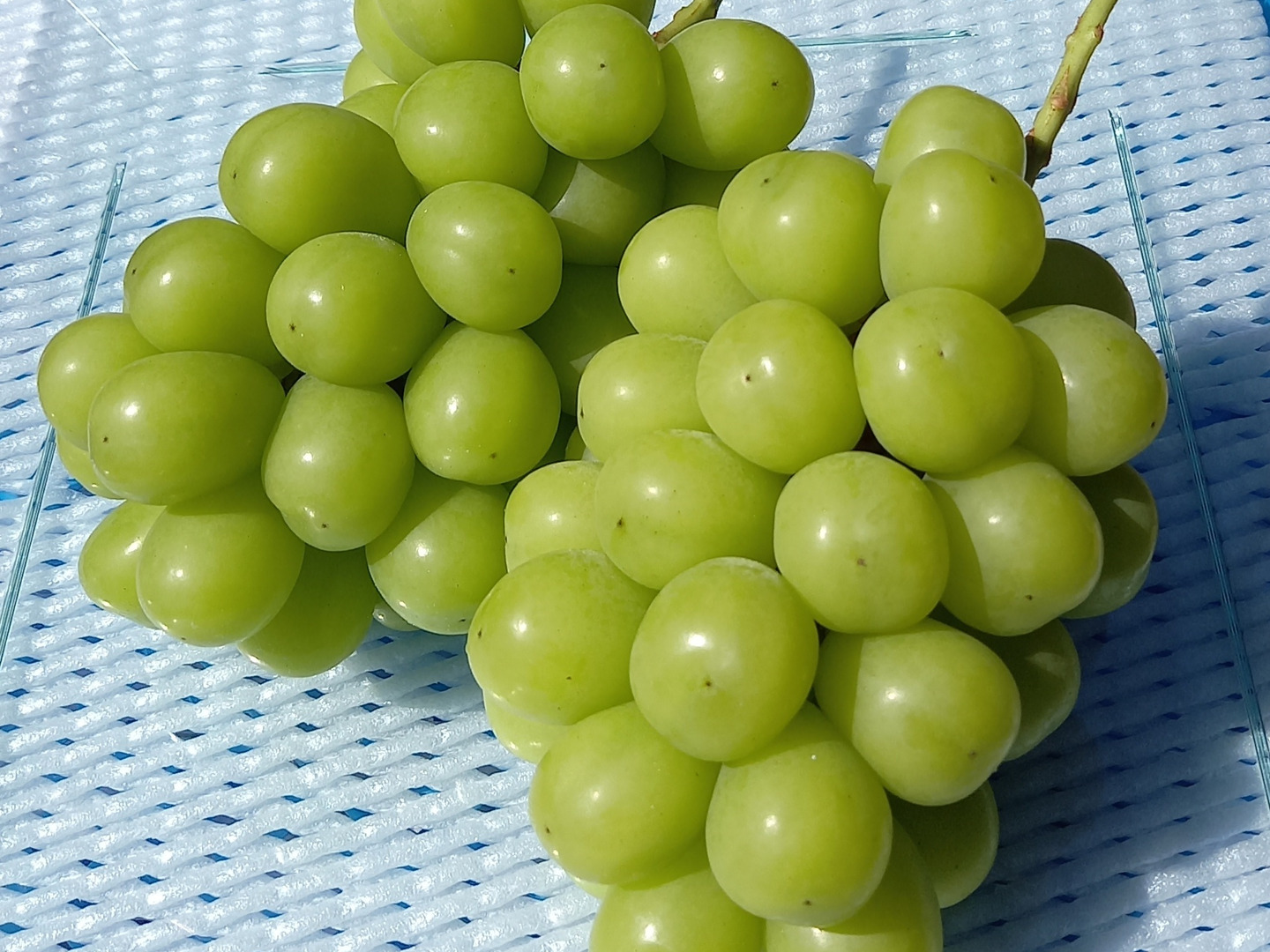 54dd2bf048a23085d0c100b2c07af6 54dd2bf048a23085d0c100b2c07af6