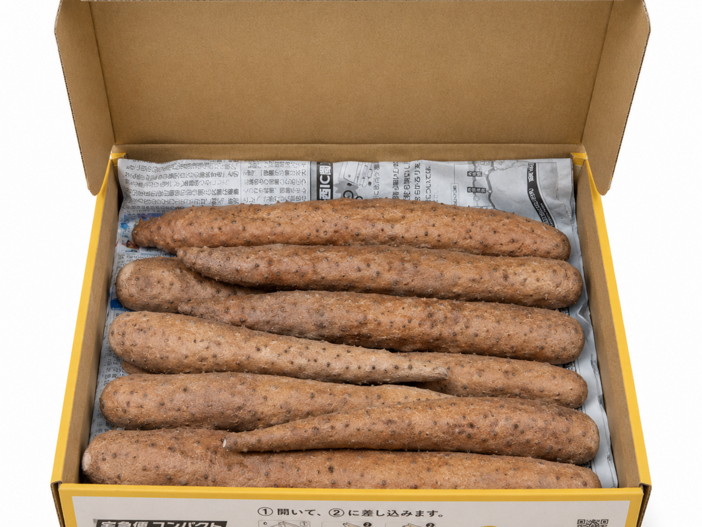 鳥取県産】粘り抜群！ねばりっこ 1kg ヒゲ焼きあり：鳥取県産の山芋