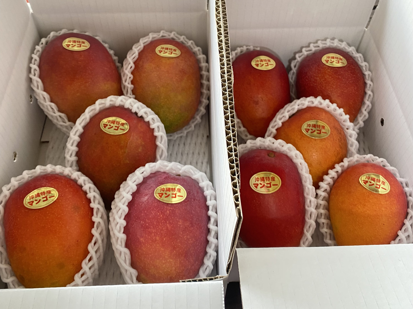 家庭用マンゴー 約2.5キロ 数量限定】家庭用 完熟マンゴー（約1.5Kg）沖縄県産：沖縄県産の