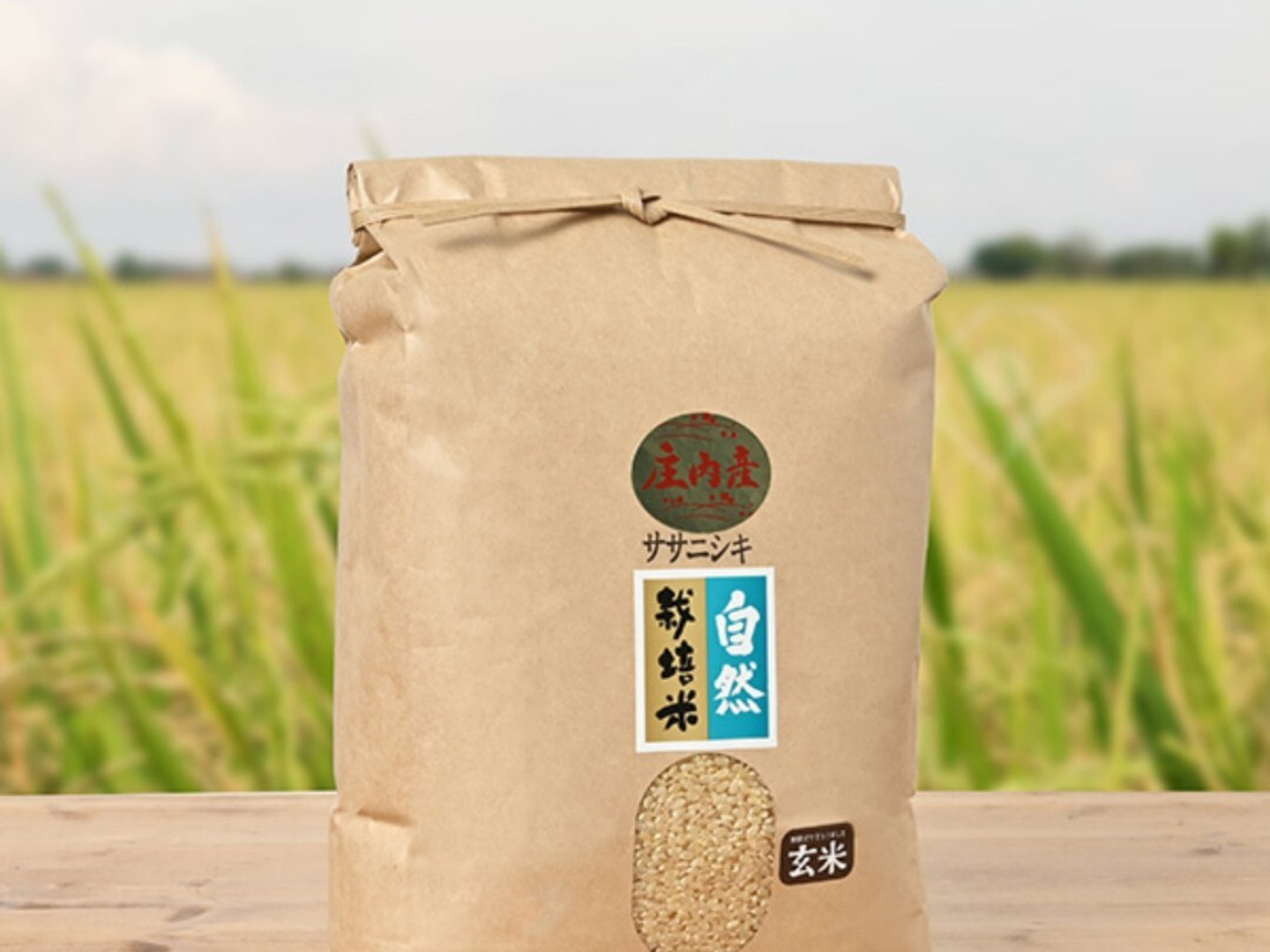 令和7年産予約 自然栽培米 ササニシキ 庄内米 10kg(5kg✖️2袋)：山形