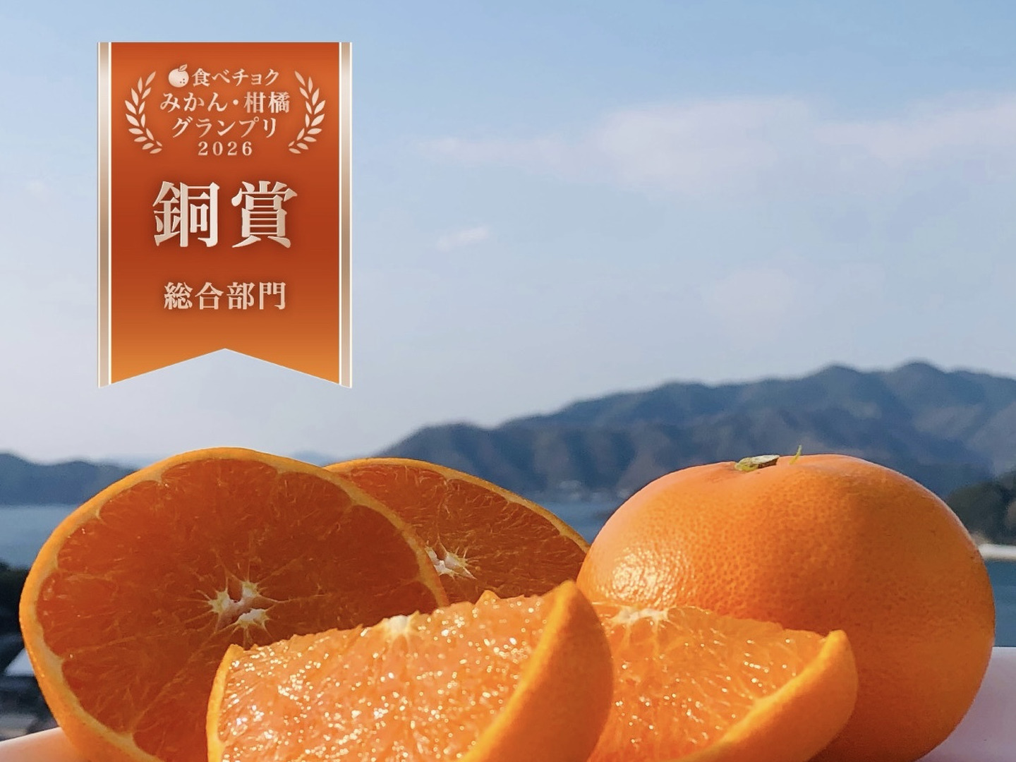 農園自慢のせとか『家庭用5キロ』※3月1日より順次発送：愛媛県産の