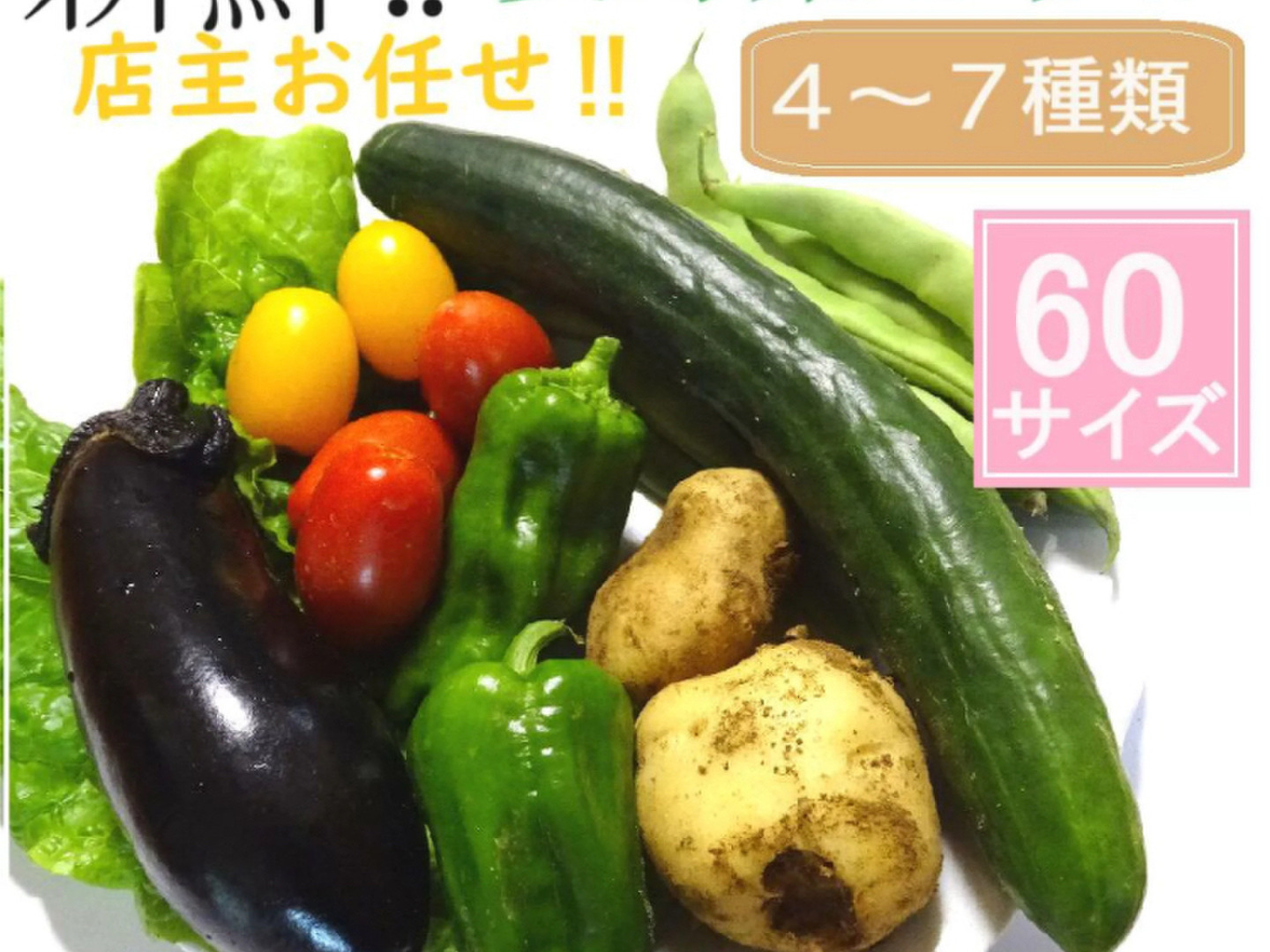 国内外の人気が集結 お任せ夏野菜4〜7品目 60サイズ：岡山県産の野菜セット｜食べ 野菜
