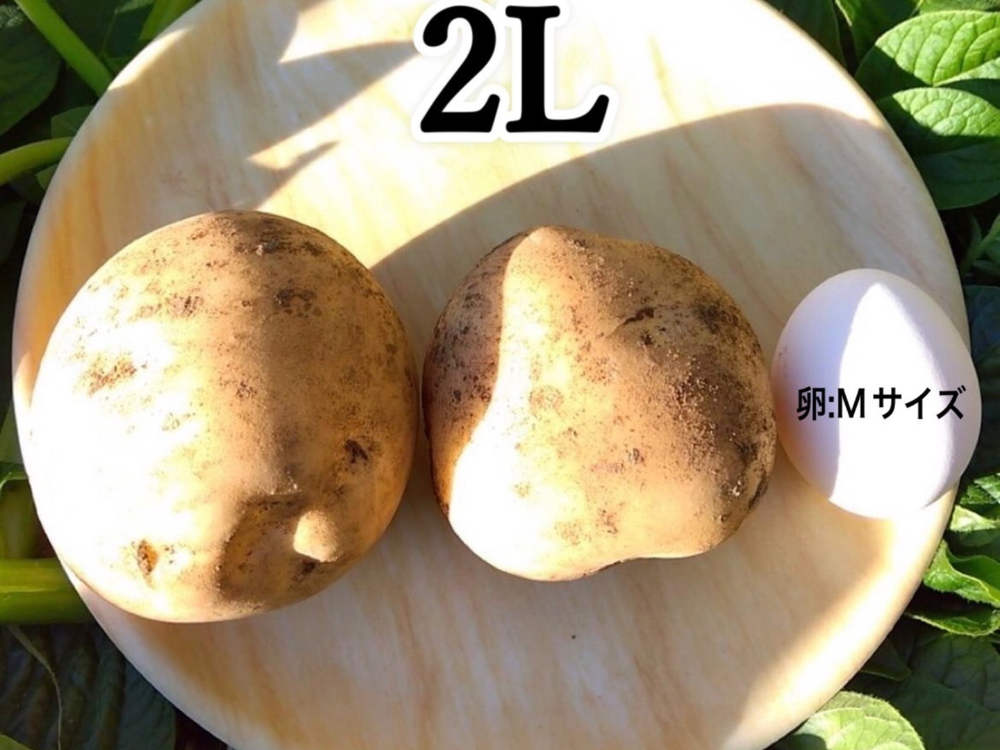 期間限定】種子島産 新じゃが(ML2L)＆熟成安納芋(2Sサイズ