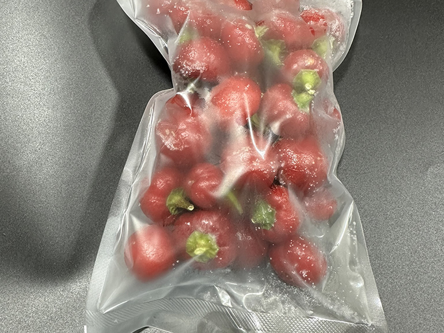 唐辛子様 希望価格ページ 今秋に新発売させていただいたコモドドラゴンペッパー🦎🔥 この