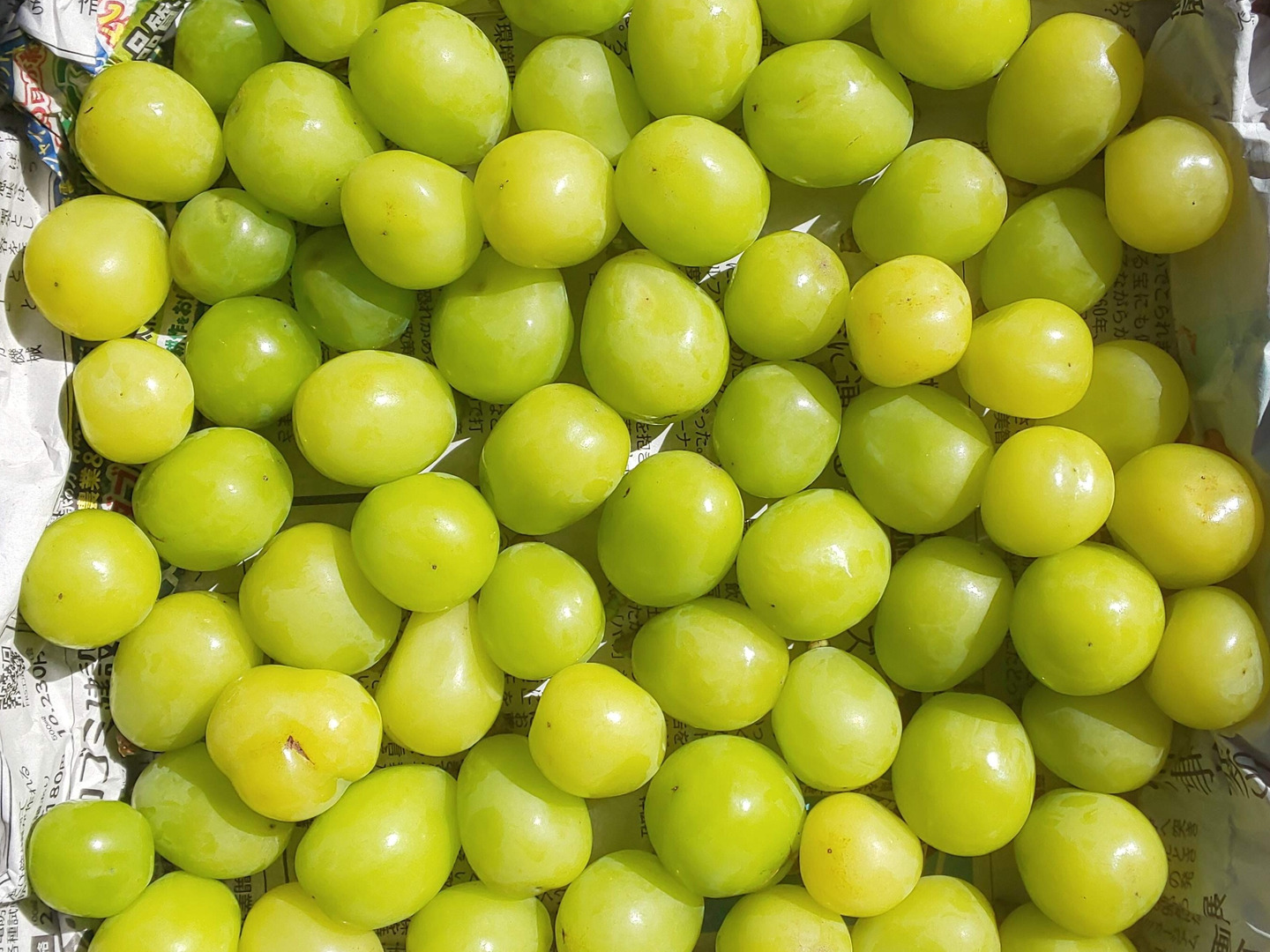 山梨県笛吹市　シャインマスカット 🍇【山梨県笛吹市産】☆粒売り☆シャインマスカット 約1.0kg🍇 ～芳醇