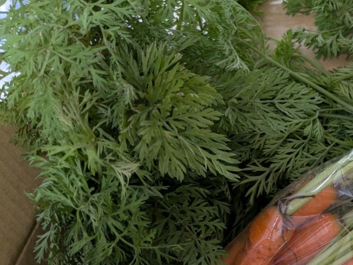 葉つき人参1.4kg位、農薬化学肥料除草剤不使用：神奈川県産のその他