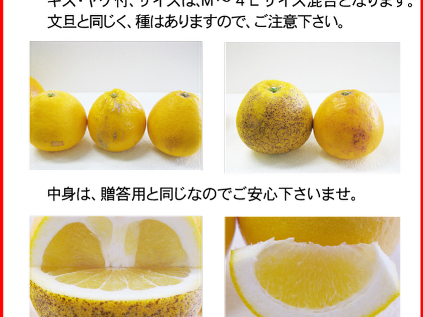 河内晩柑訳アリ10キロ：愛媛県産のみかん・柑橘類｜食べチョク