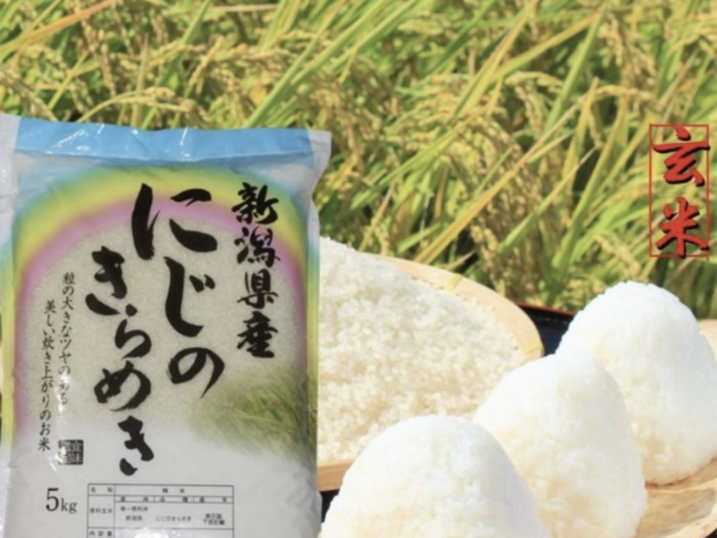 お米 米 新潟県産 にじのきらめき 玄米 5キロ 5kg 令和6年産