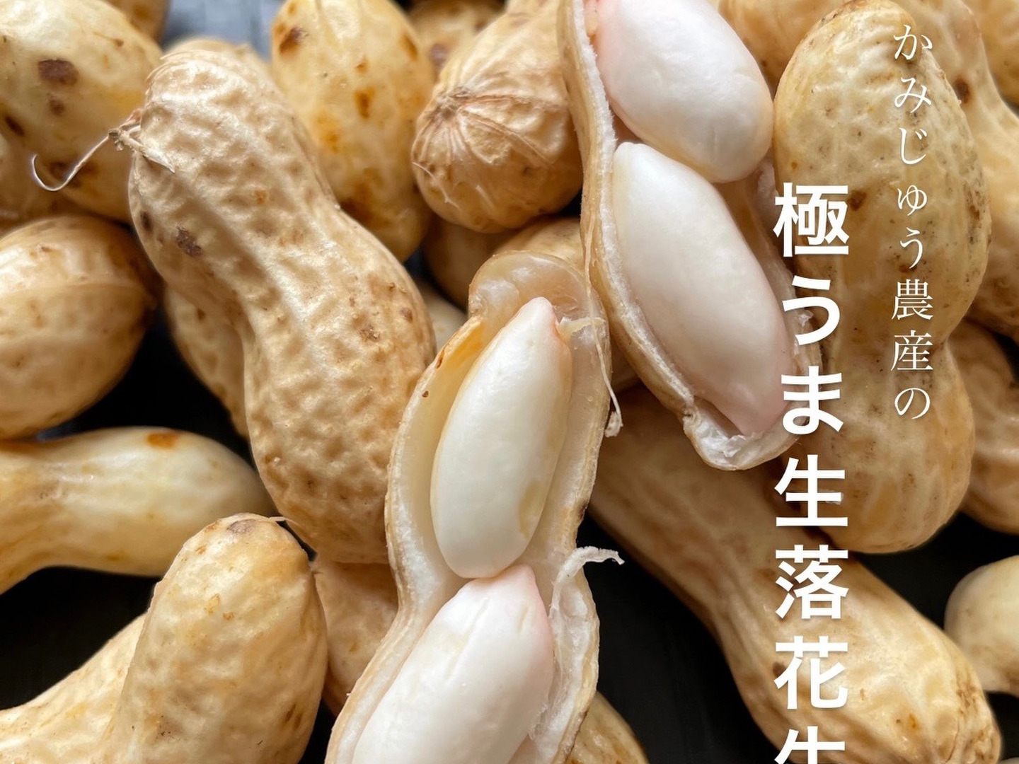 1575円 ラッピング無料 国産 塩ゆで落花生 500g×4ヶ入 ギフト商品