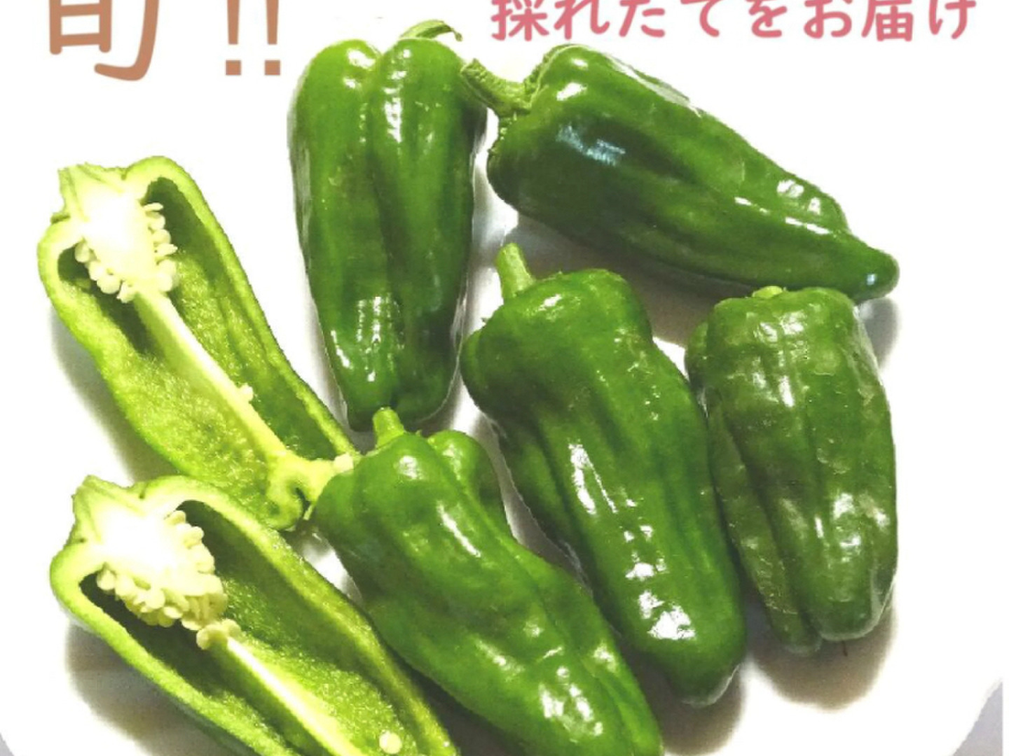 肉厚ぷりぷりピーマン10個入り：岡山県産の野菜｜食べチョク