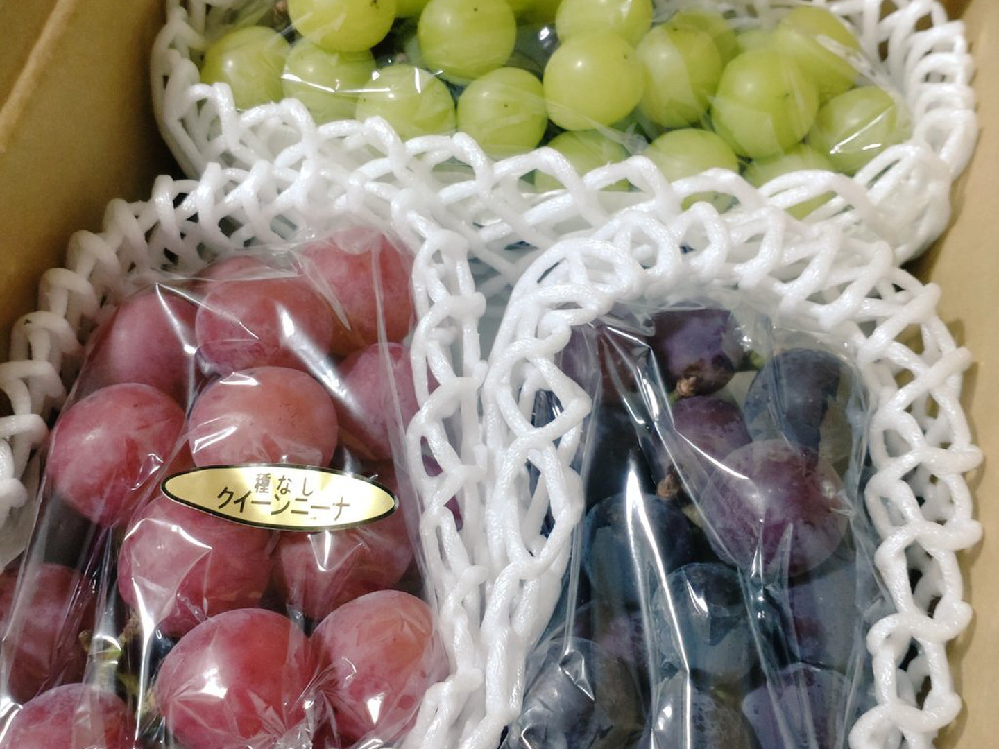 🟥訳アリご家庭用🟥🌿2024第二弾②3種🍇ぶどう詰め合わせ