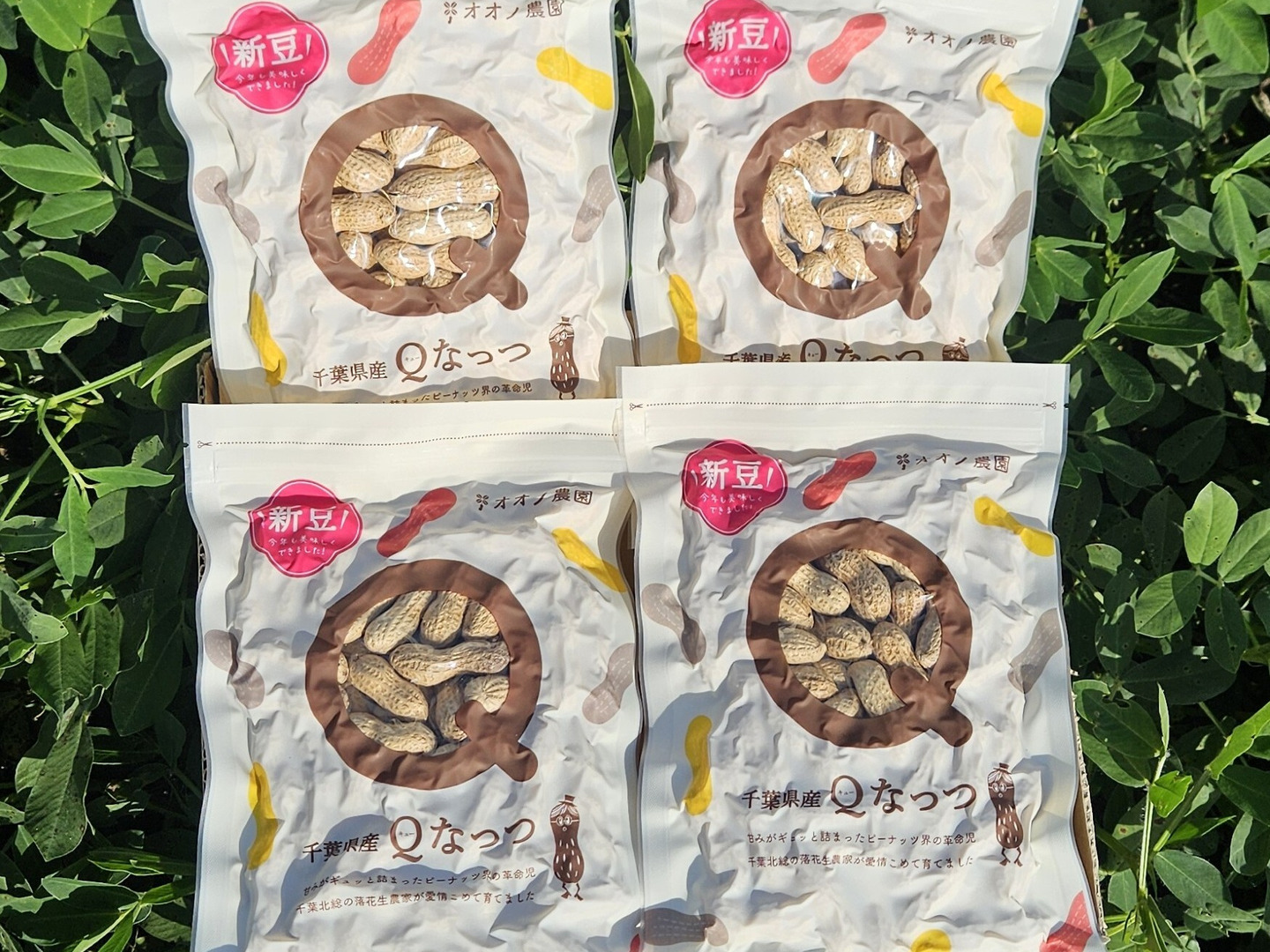 お野菜 令和7年産新物始まりました！】【食べきりサイズ】千葉県産