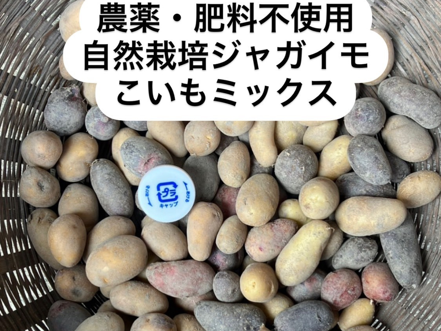 農薬肥料不使用】自然栽培じゃがいも（小いもミックス）：広島県