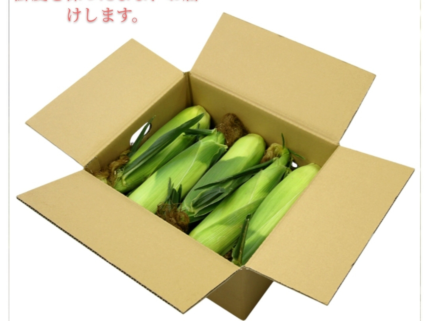 【ゆずぽん】とうもろこし正規品ミックス20本・M恵味ゴールド20本 imgrc0146382343.jpg