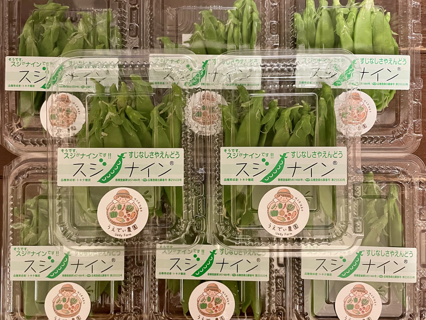 さやえんどう 楽天市場】国産キヌサヤ別称：鞘えんどう〈サヤエンドウ〉100g