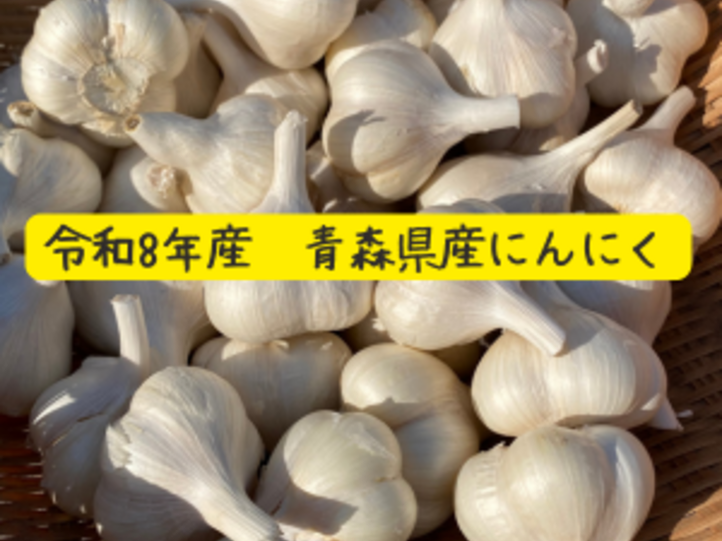 R8年 青森県産にんにく 福地ホワイト六片 家庭用2.7kg：青森県産の