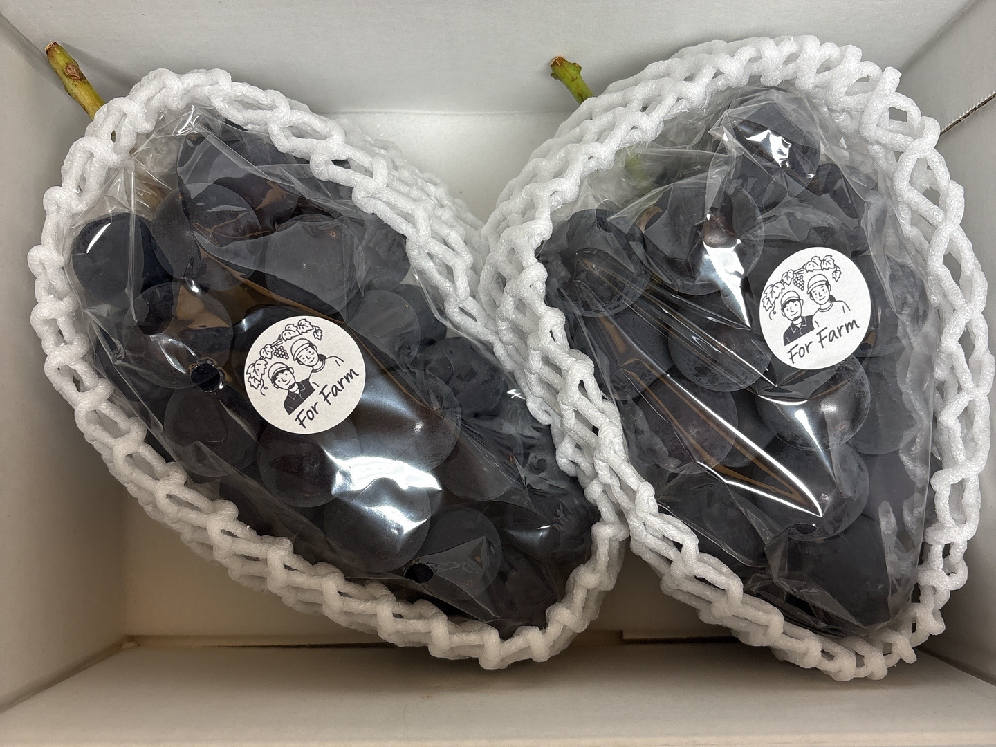 【daisy】巨峰の粒　箱込1kg弱 食べる喜び・贈る喜びを感じる】☆訳あり・家庭用☆巨峰1㎏ 2～3房
